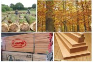 您知道后現代輕奢家具風格一般用哪些實木原材嗎？高端的都用這幾類！